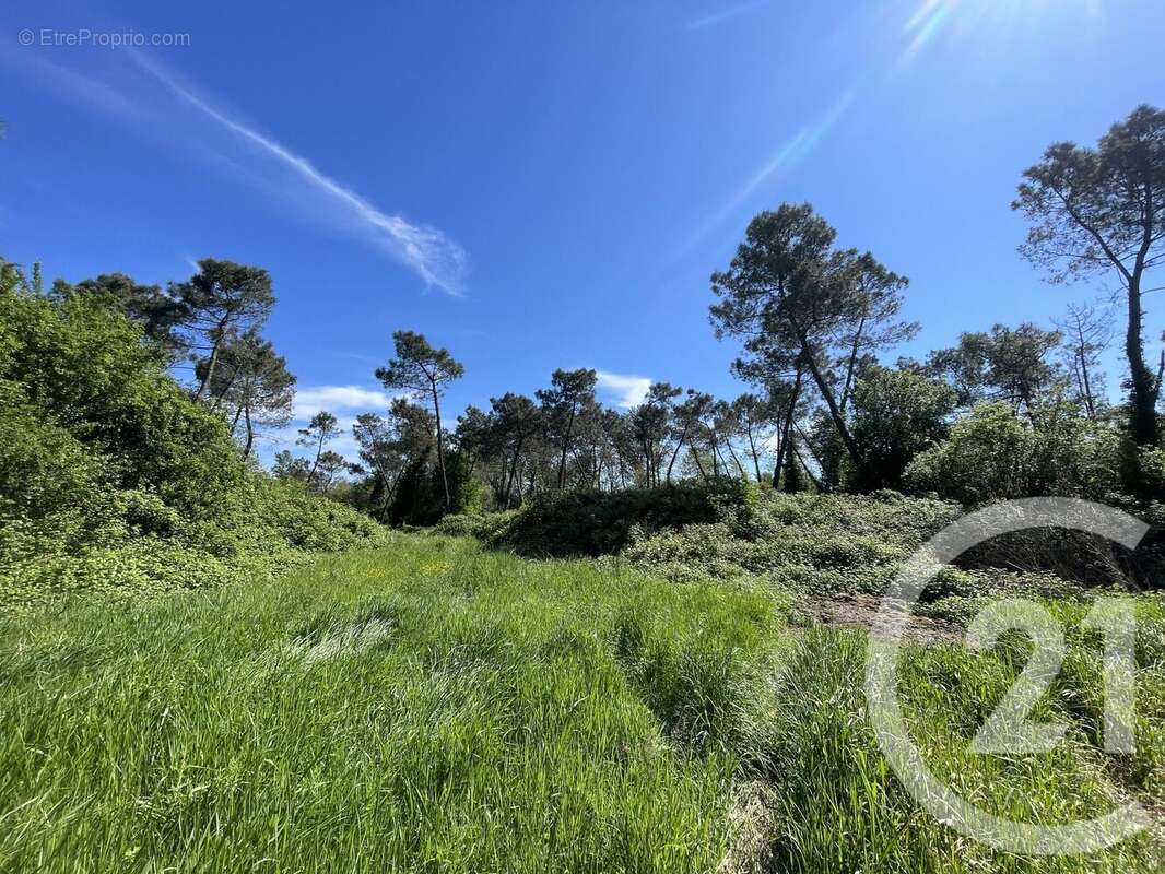 Terrain à MONTAUBAN
