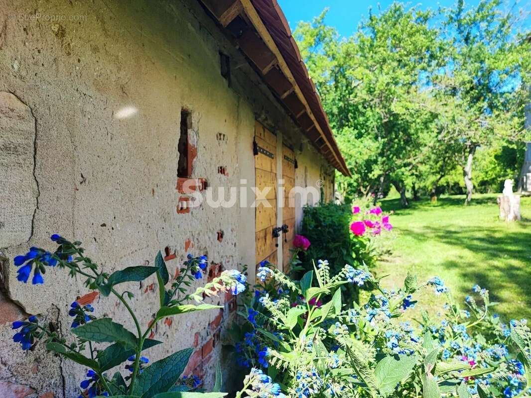 Maison à SEURRE