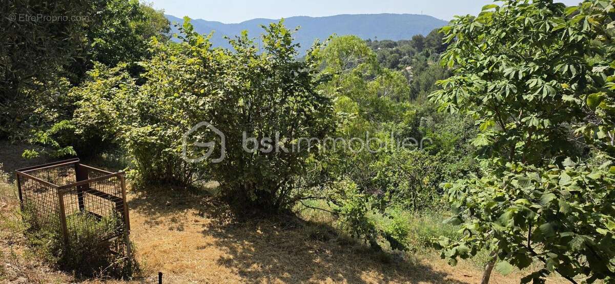 Propriété de caractère, dans un environnement naturel exceptionnel, au cœur d '1,4 hectare dominant la vallée du Paillon - photo 5
