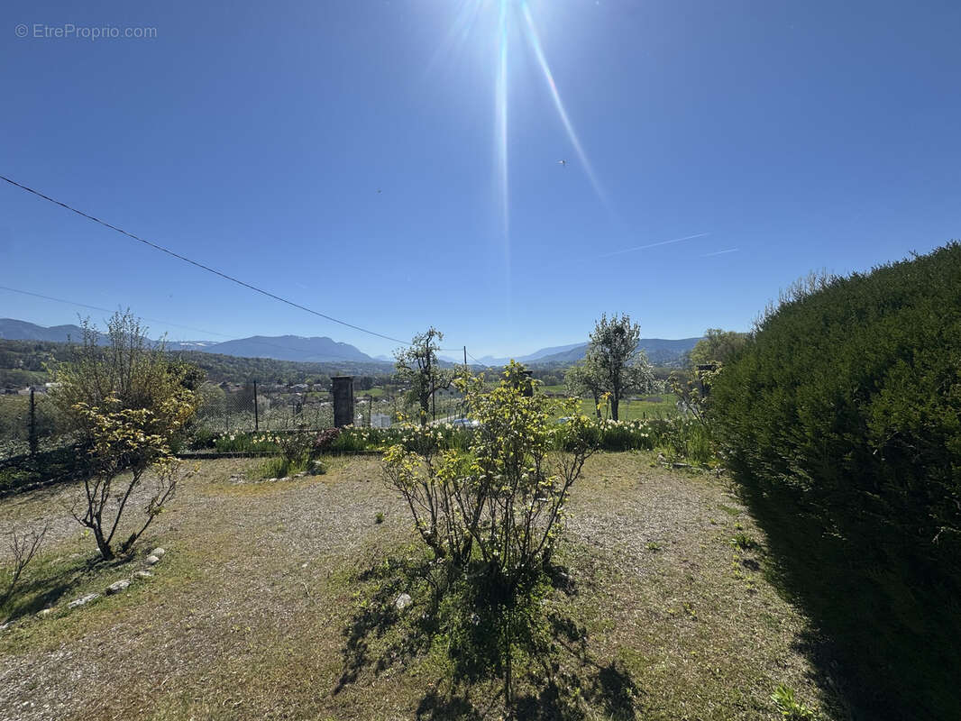 Terrain à SAINT-FELIX