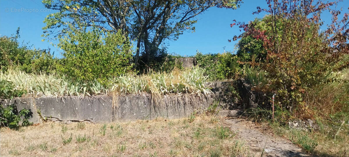 Terrain Serpaize 910 m2 - photo 5