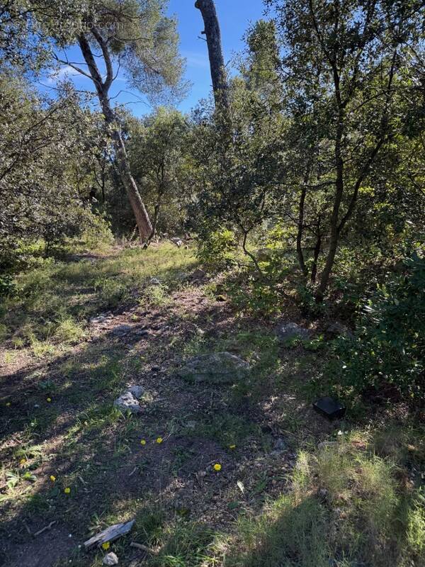 Terrain à SAUSSET-LES-PINS