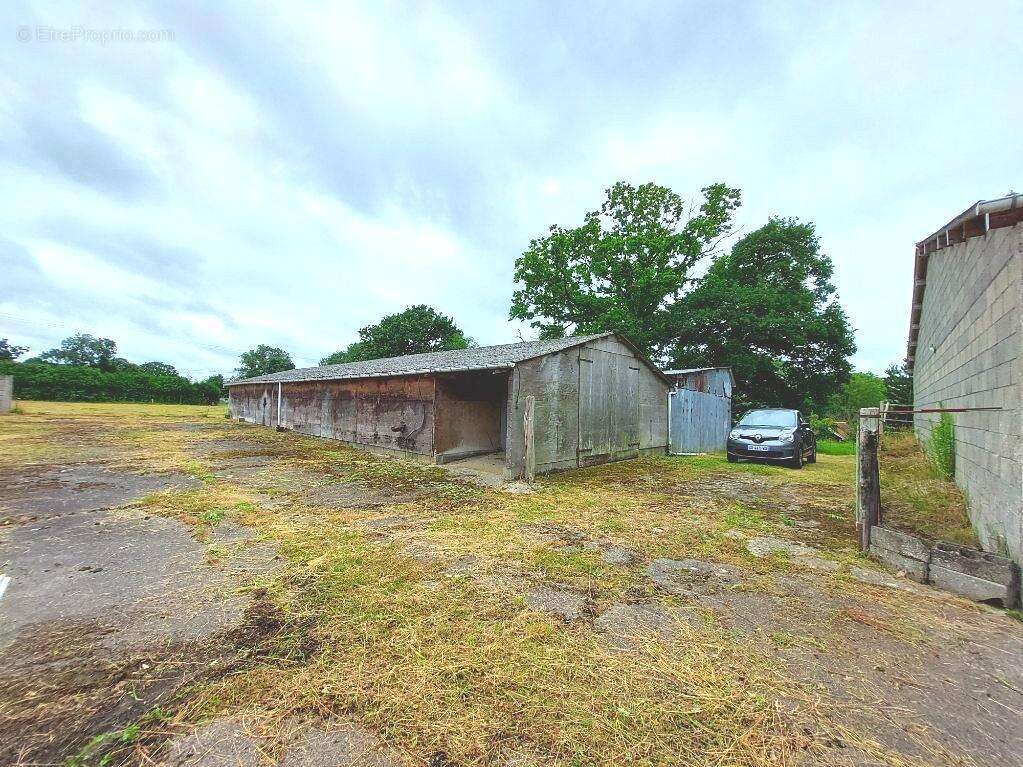 Terrain à SAINT-DENIS-LE-GAST