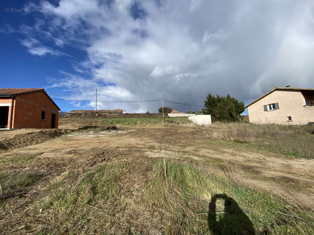 Terrain à COLOMBIER-LE-CARDINAL