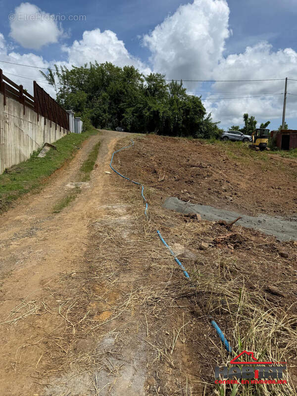 Terrain à LE LAMENTIN