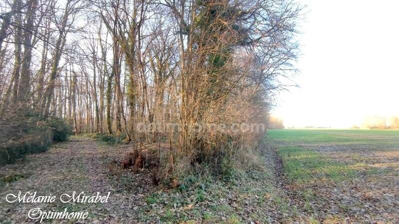 Terrain à SYLVAINS-LES-MOULINS