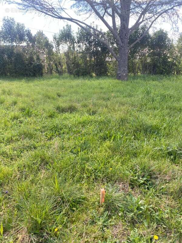 Terrain 508 m² à Lauris  - photo 2