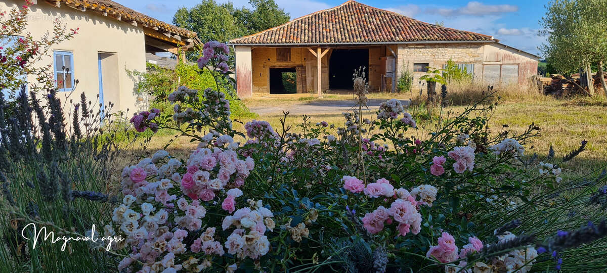 Domaine équestre ou agricole de 30 hectares en Occitanie - photo 4