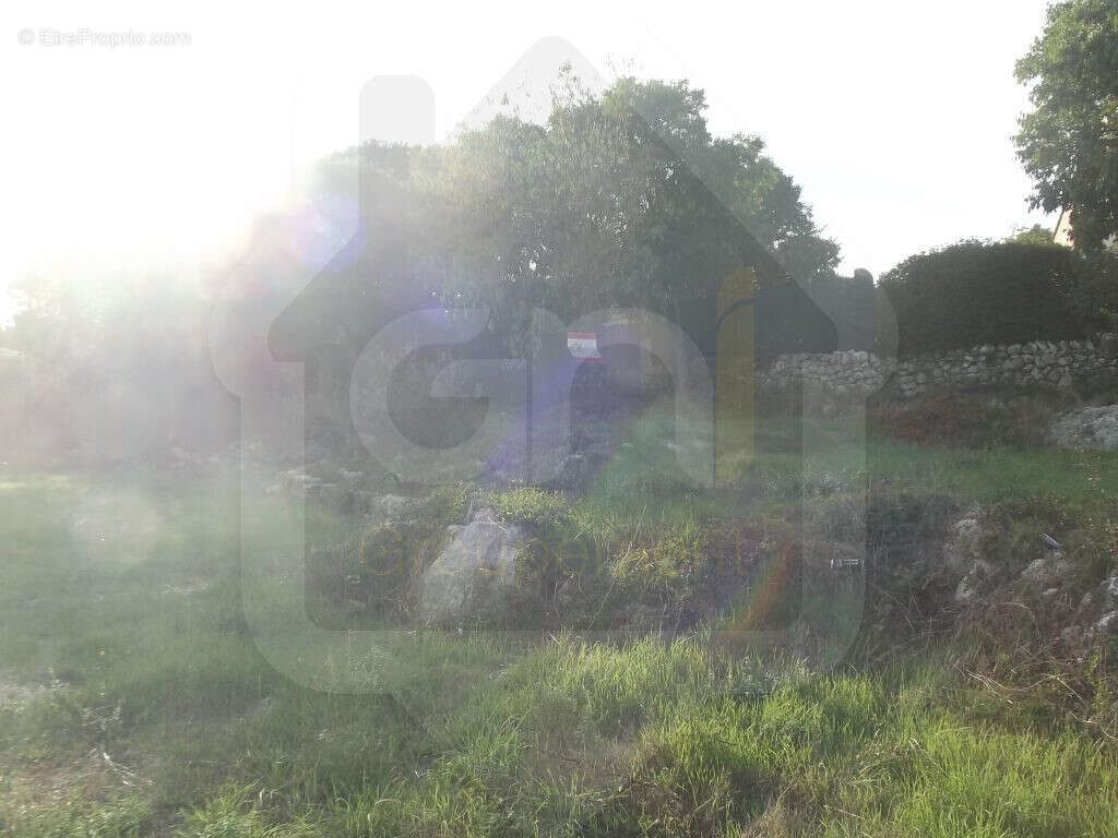 Terrain à MONTFORT-SUR-ARGENS