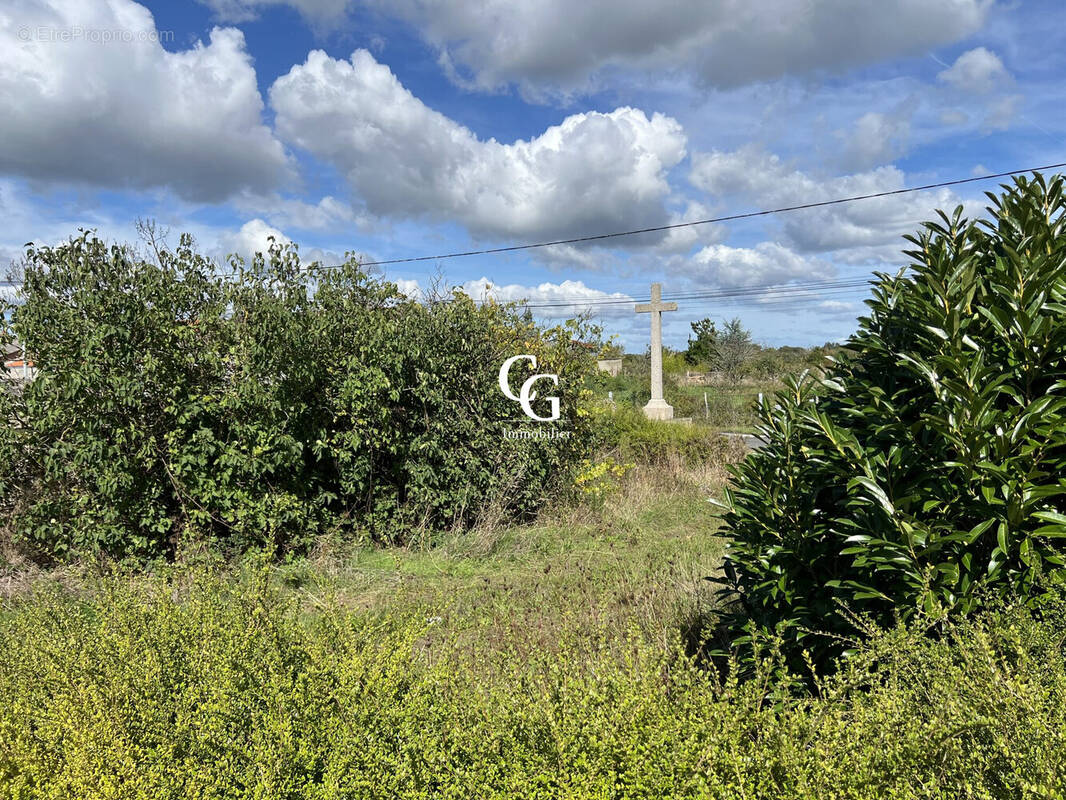Terrain à AIGREFEUILLE-SUR-MAINE