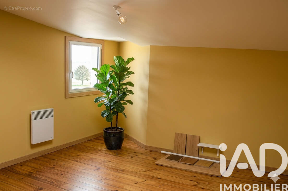 Photo 4 - Appartement à PLOMODIERN