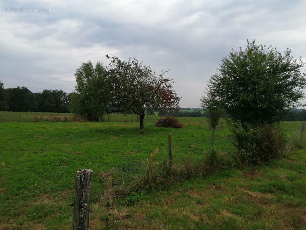 Maison à SAINT-ETIENNE-SUR-REYSSOUZE