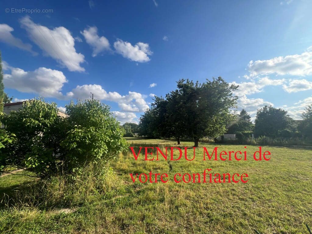 Terrain à MALAY-LE-GRAND