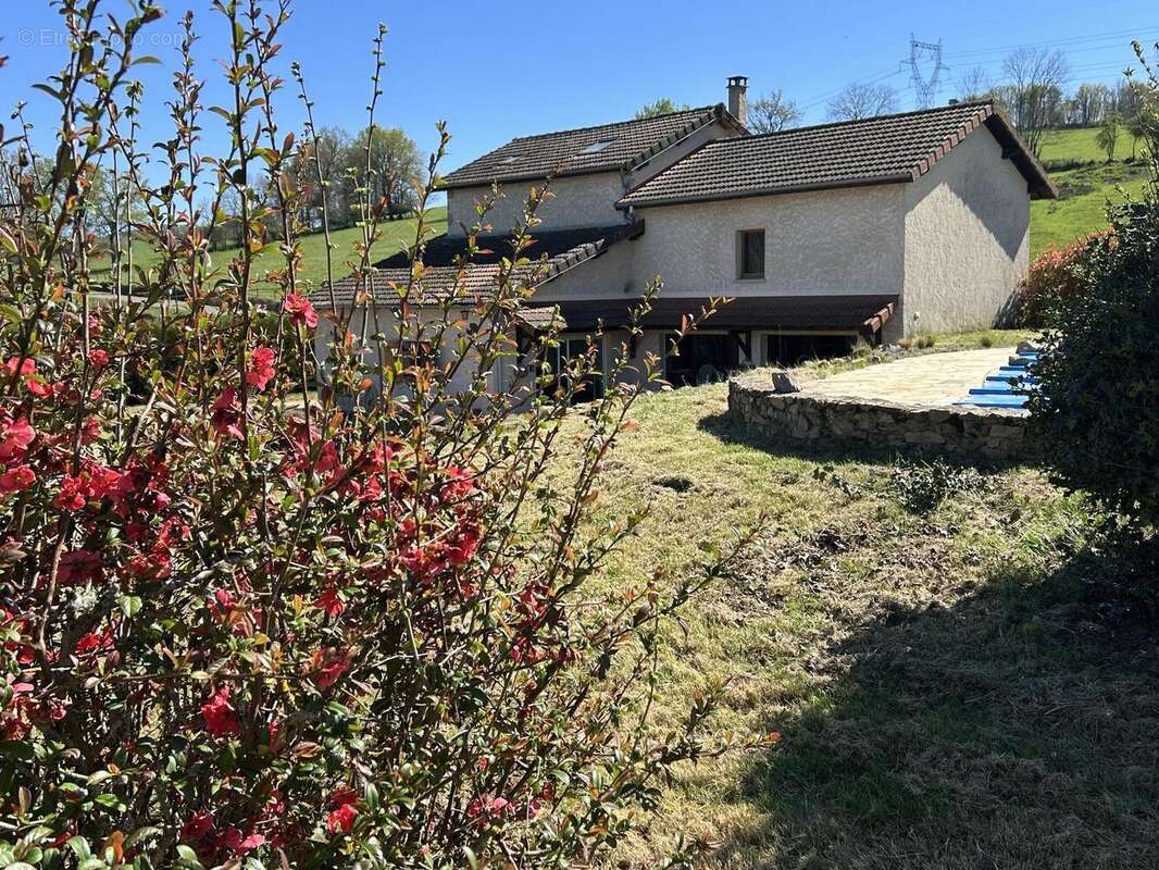 Photo 3 - Maison à LA PACAUDIERE