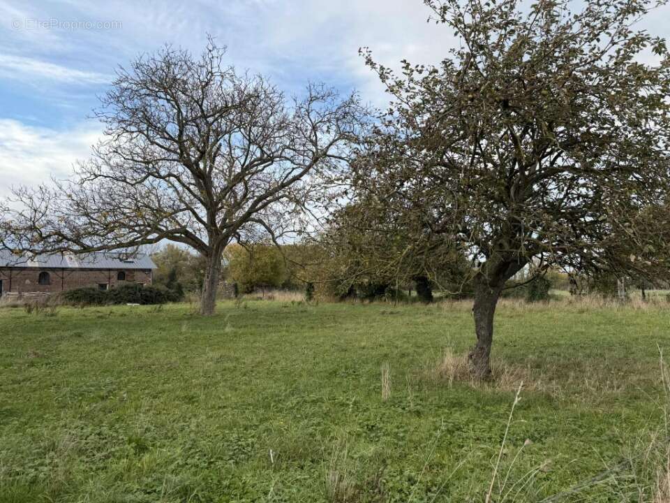Terrain à MASNY