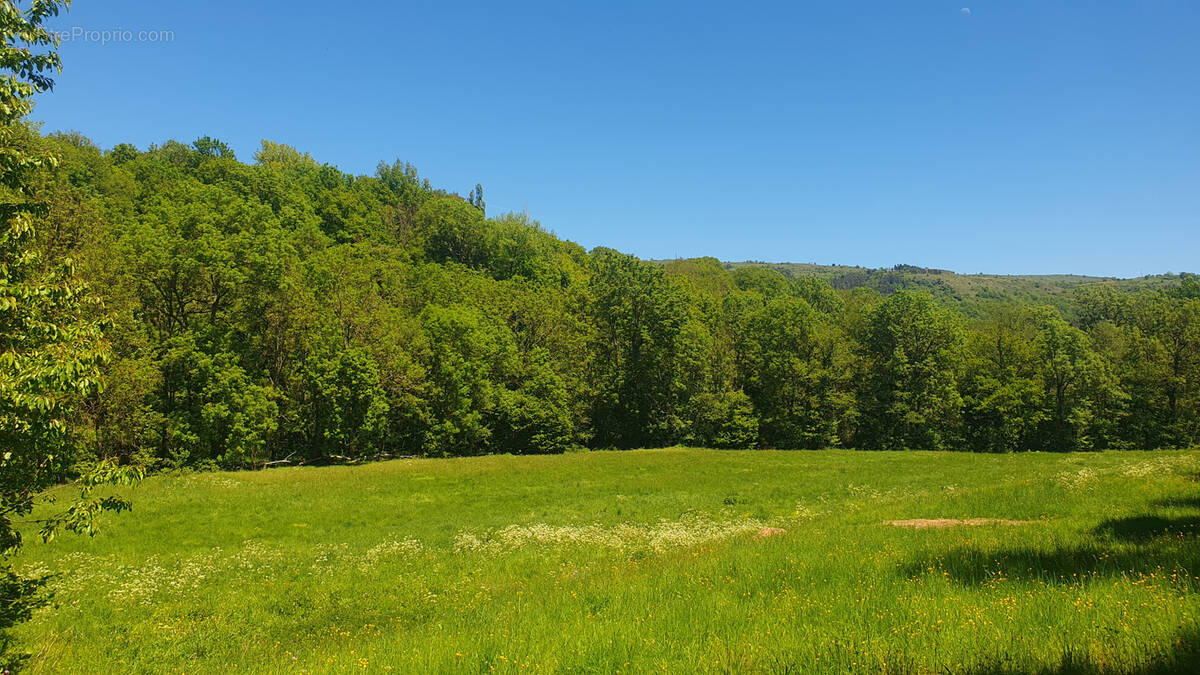 Terrain à NEUSSARGUES-MOISSAC