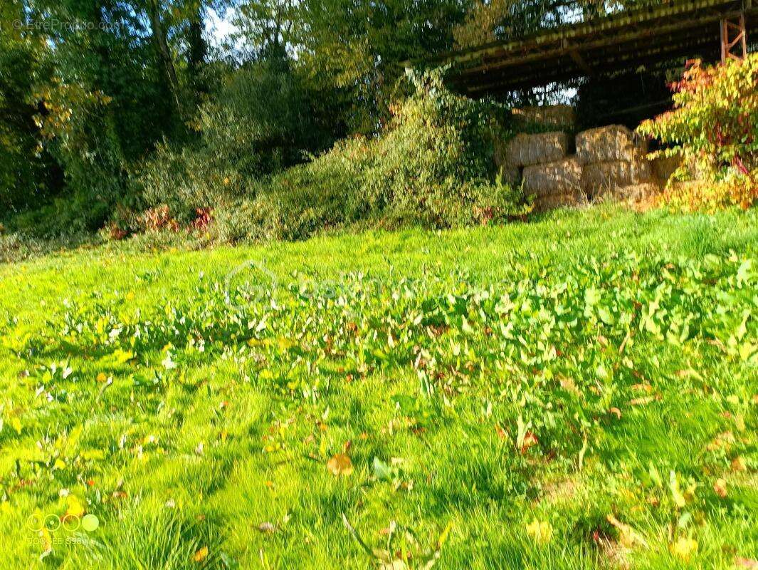 Terrain à AIRE-SUR-L'ADOUR