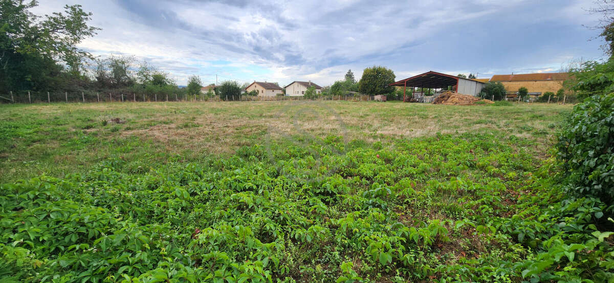 Terrain à SARDIEU