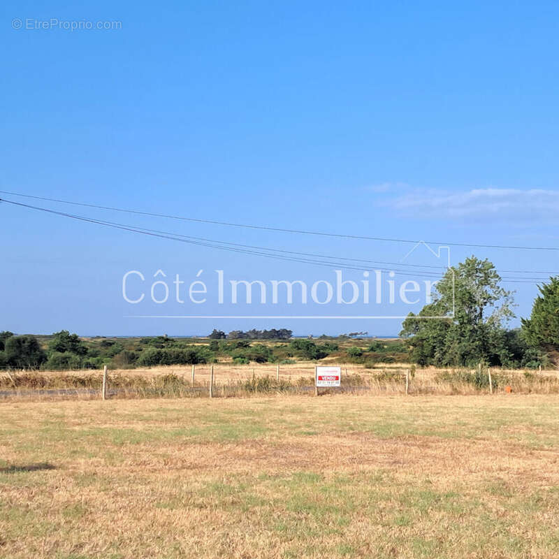 Terrain les moutiers en retz - photo 4