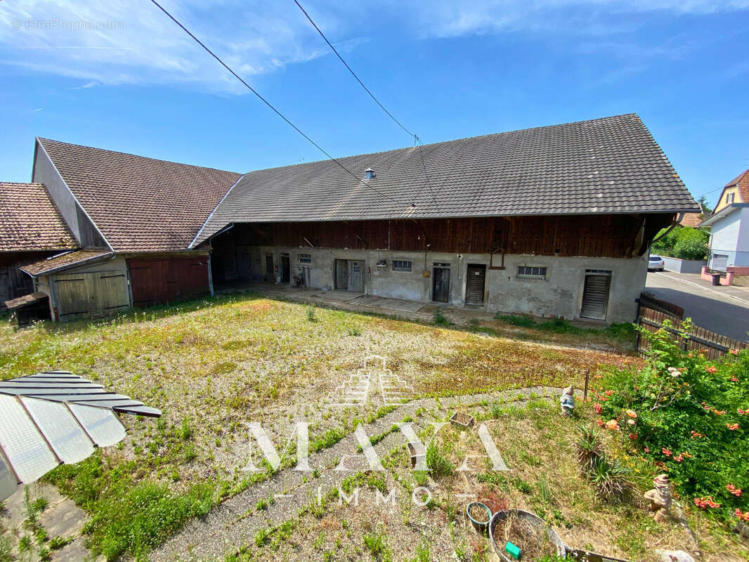 Steinbrunn-Le-Haut, Maison avec dépendance. - photo 19