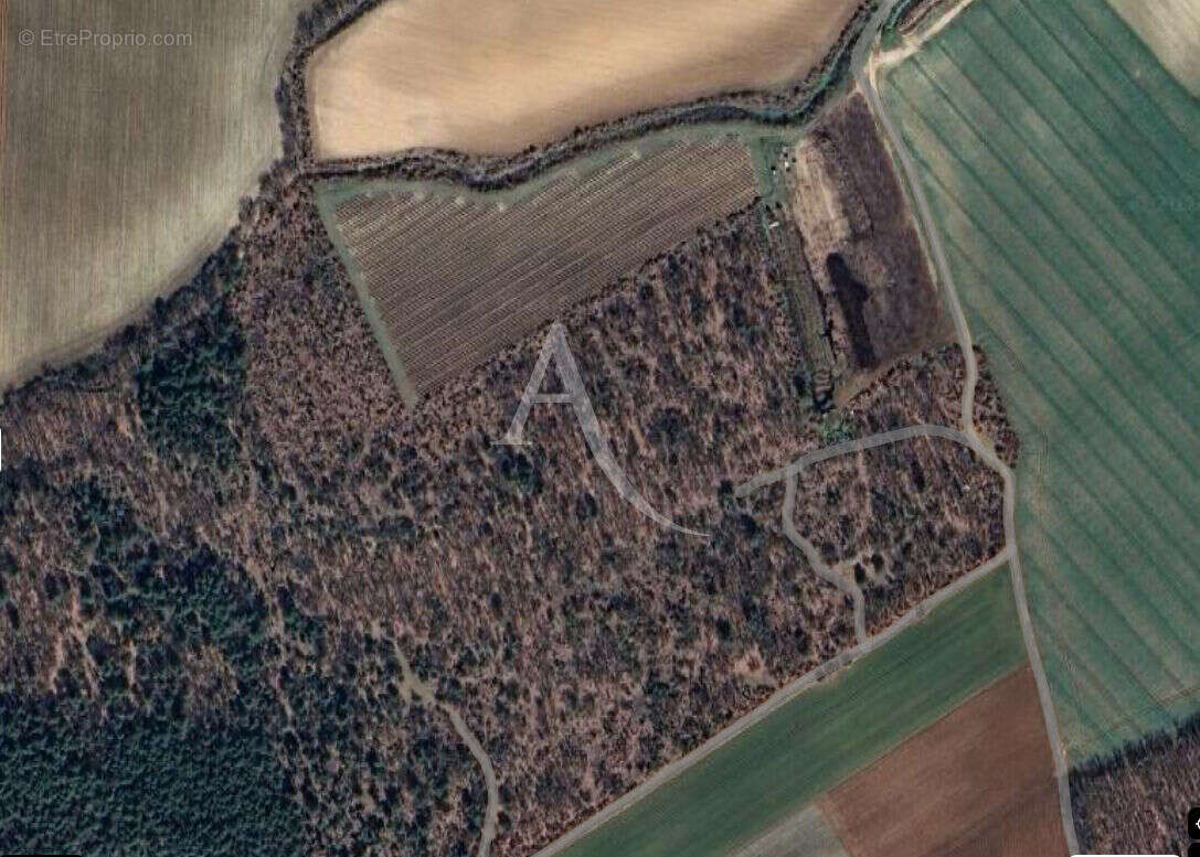 Terrain à ROUMOULES