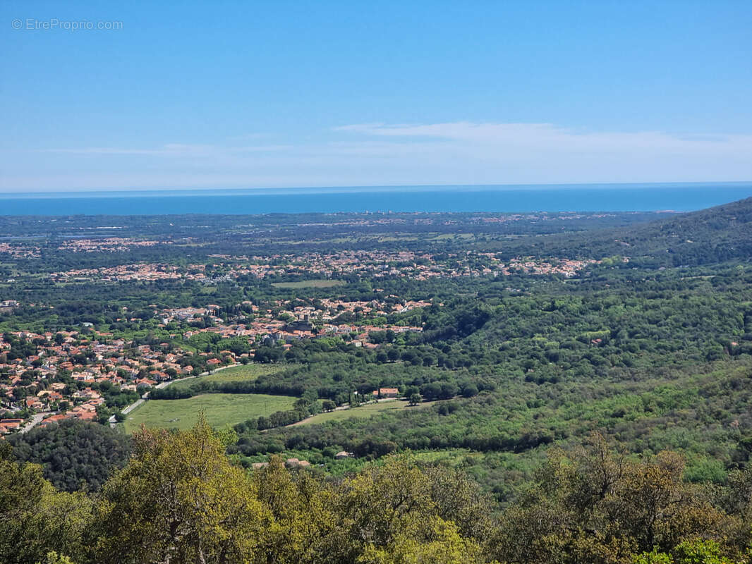 Maison à LAROQUE-DES-ALBERES
