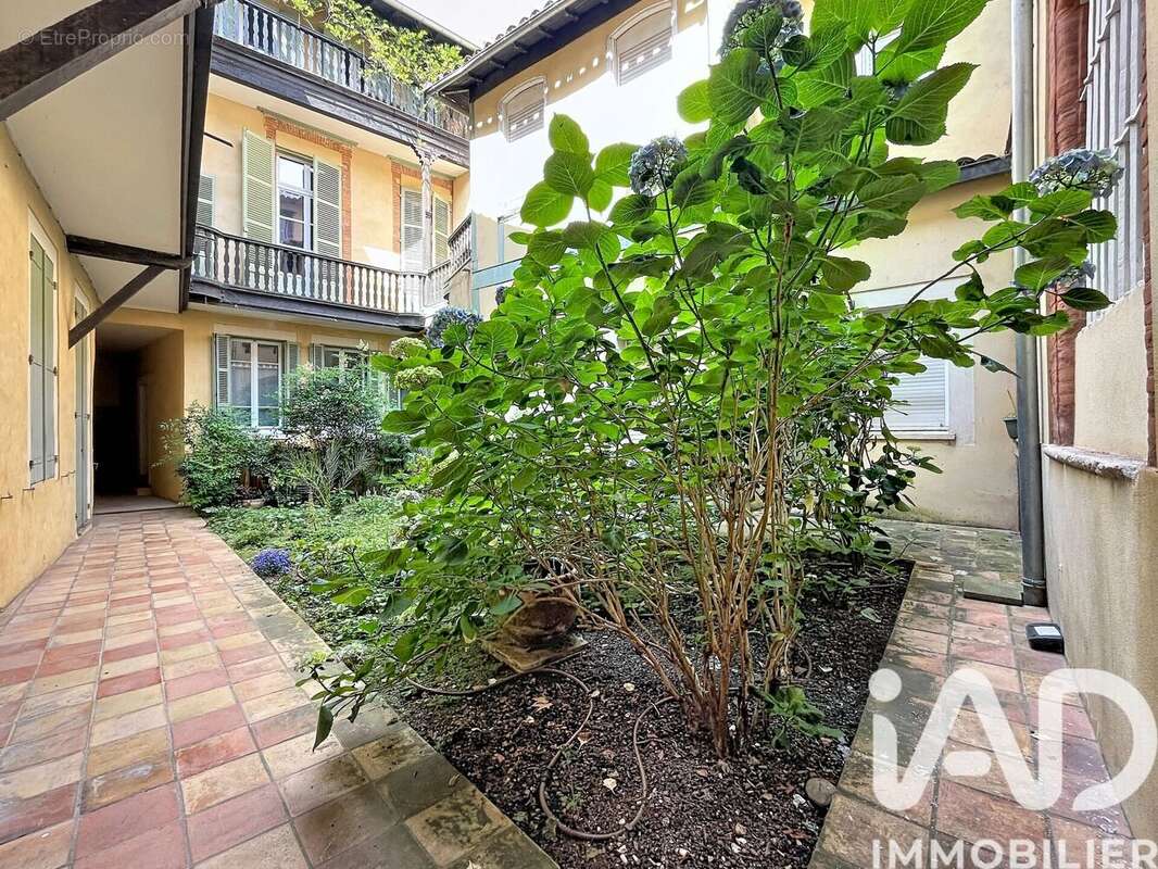 Photo 2 - Appartement à TOULOUSE