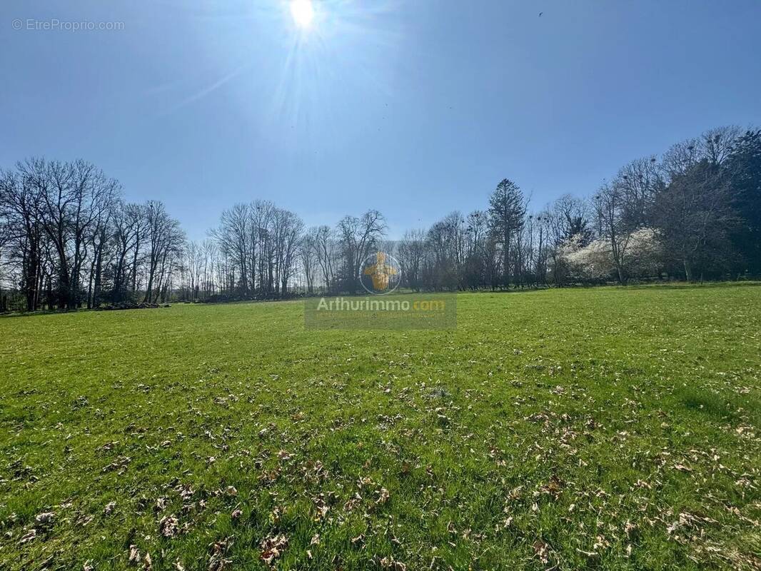 Terrain à LONGEAU-PERCEY