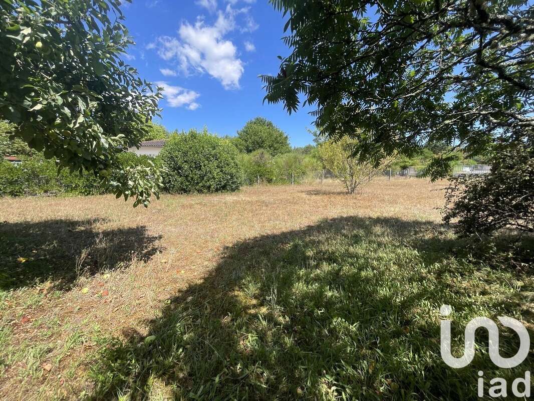 Photo 2 - Terrain à BELIN-BELIET