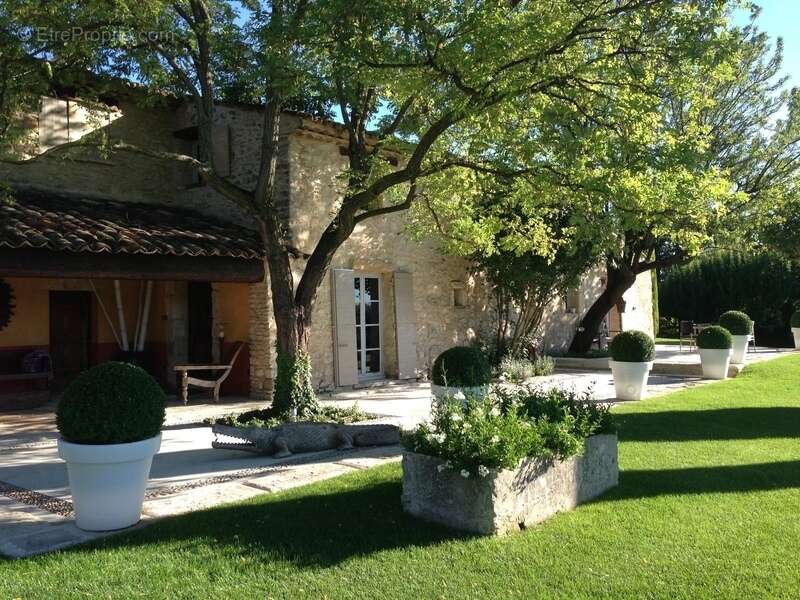 Domaine d'exception au cœur du Luberon - photo 22