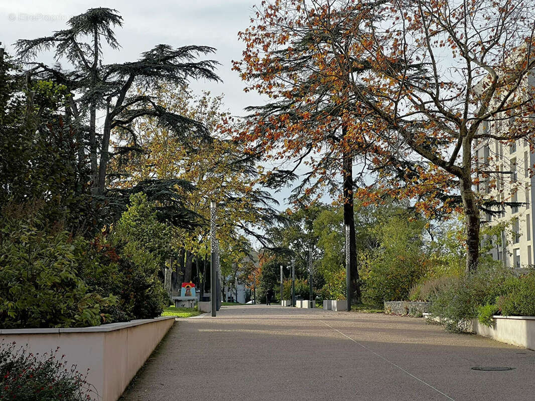 Appartement à COLOMIERS
