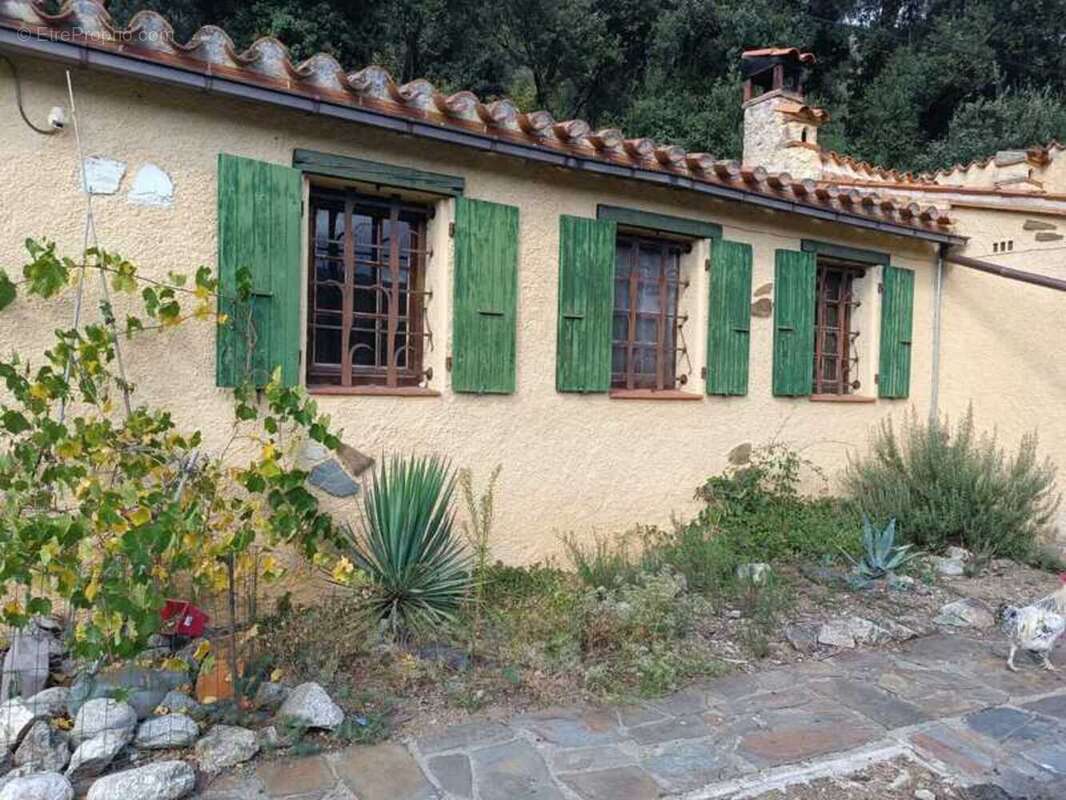 A vendre, Maison en pleine nature à fort potentiel !  (66) - photo 9