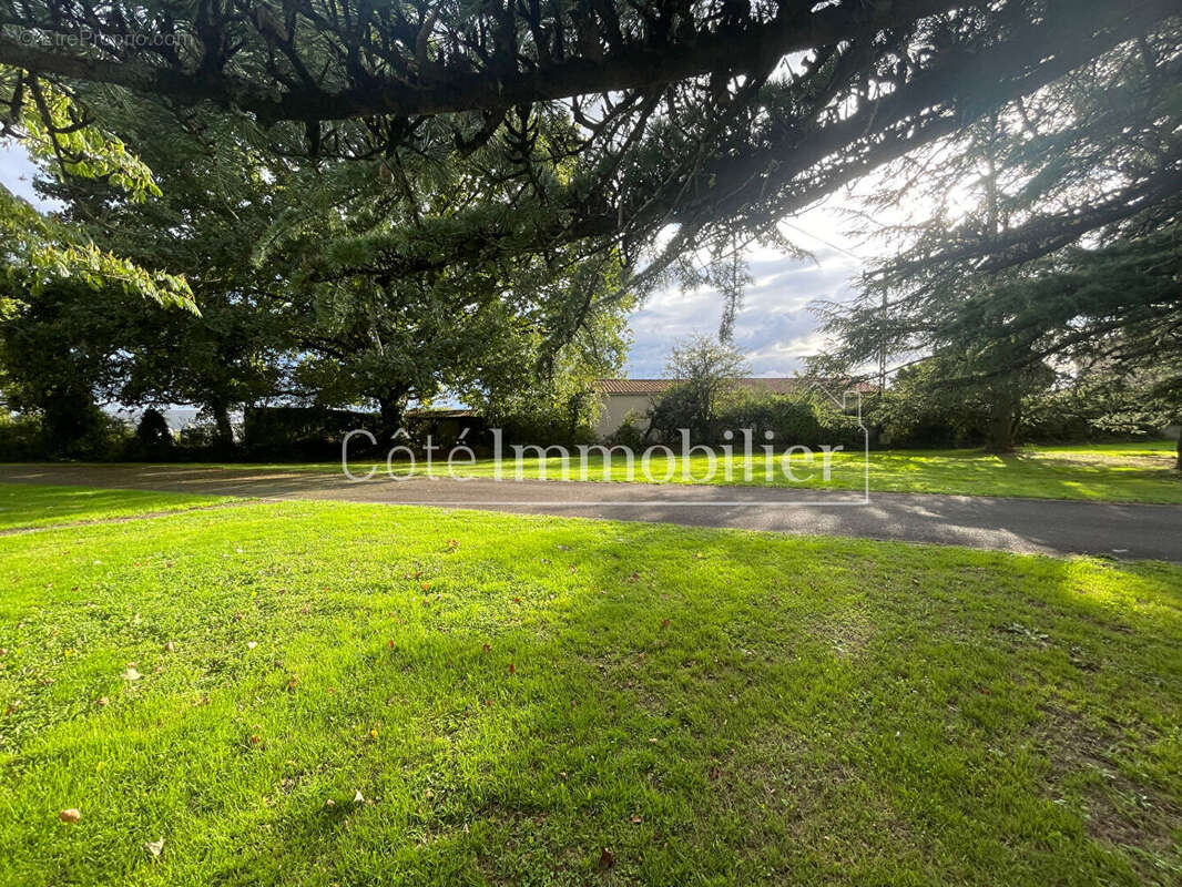 Terrain à SAINT-PHILBERT-DE-GRAND-LIEU