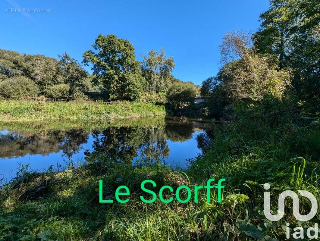 Photo 5 - Terrain à BERNE