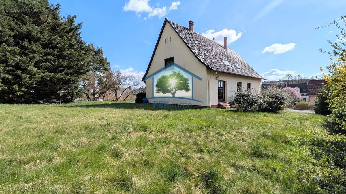 Maison à INGWILLER
