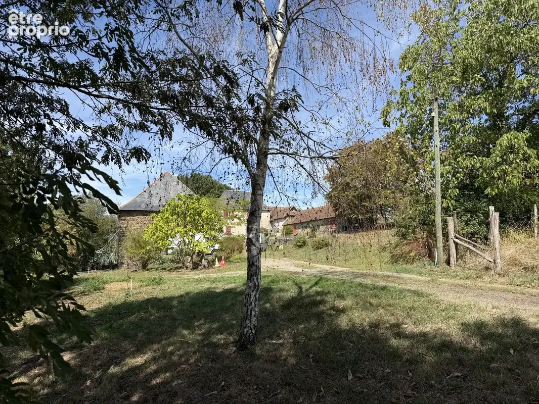 Maison en pierre avec dépendances et terrain - photo 3