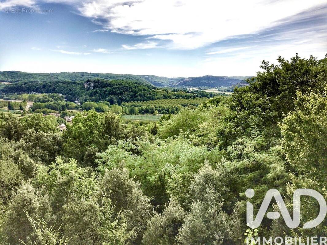 Photo 1 - Terrain à LA ROQUE-GAGEAC