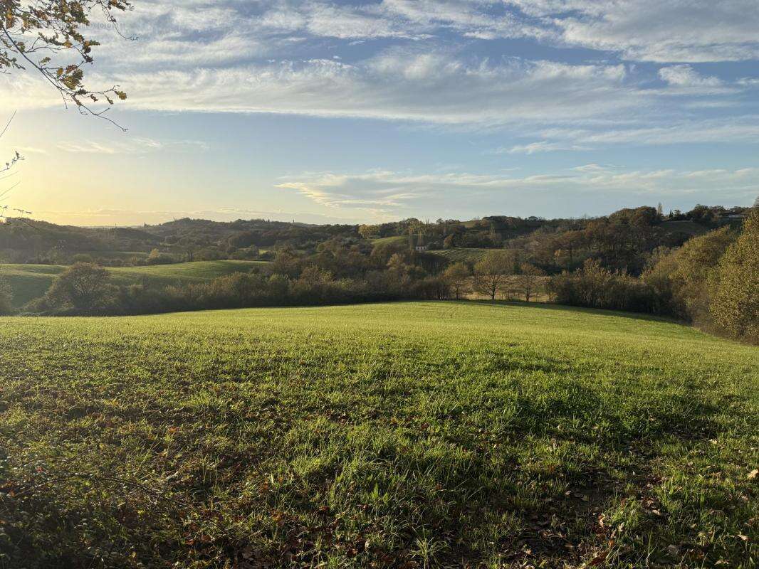 Terrain à BRASSEMPOUY
