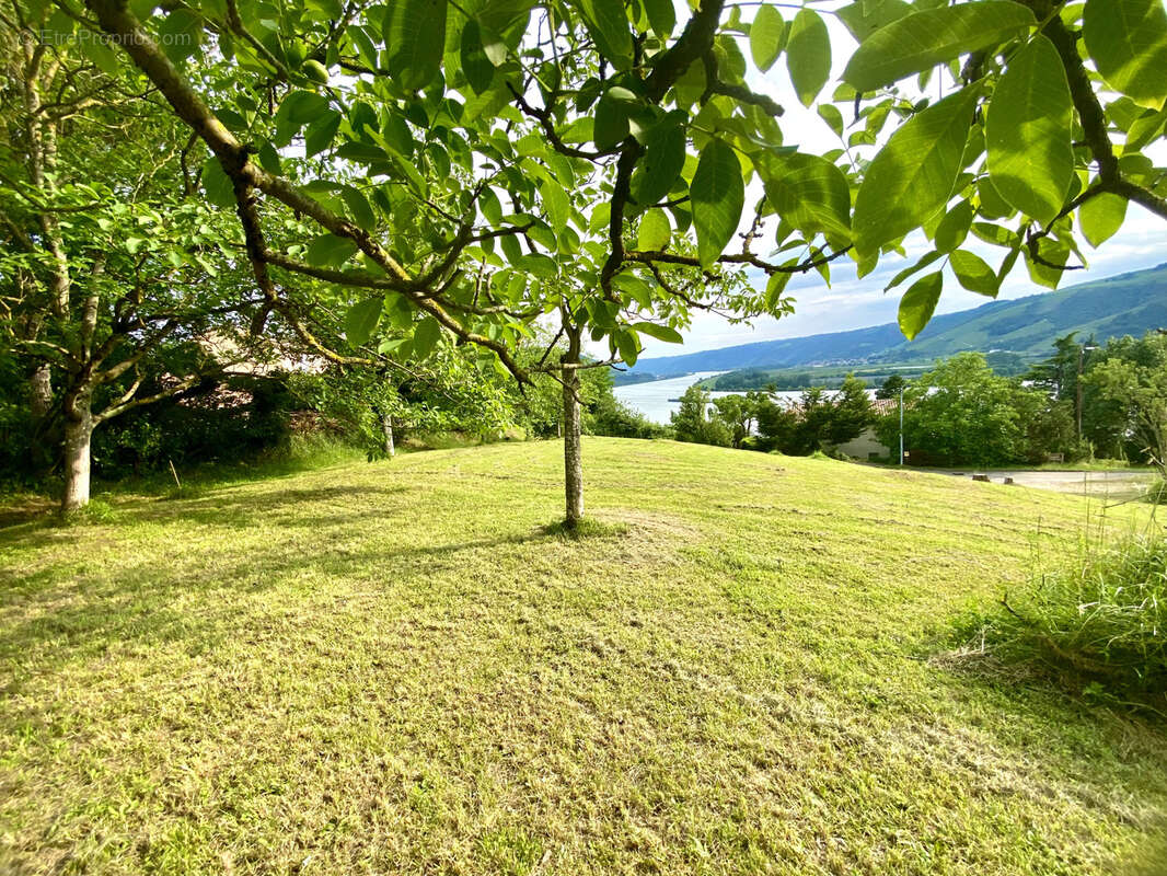 Terrain à PONSAS