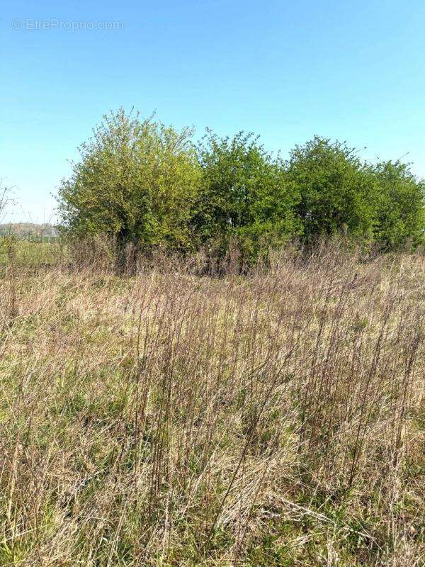 Terrain à MAREST-DAMPCOURT