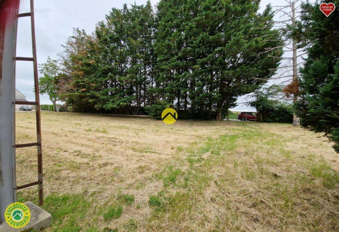 Terrain à LA GUERCHE-SUR-L&#039;AUBOIS
