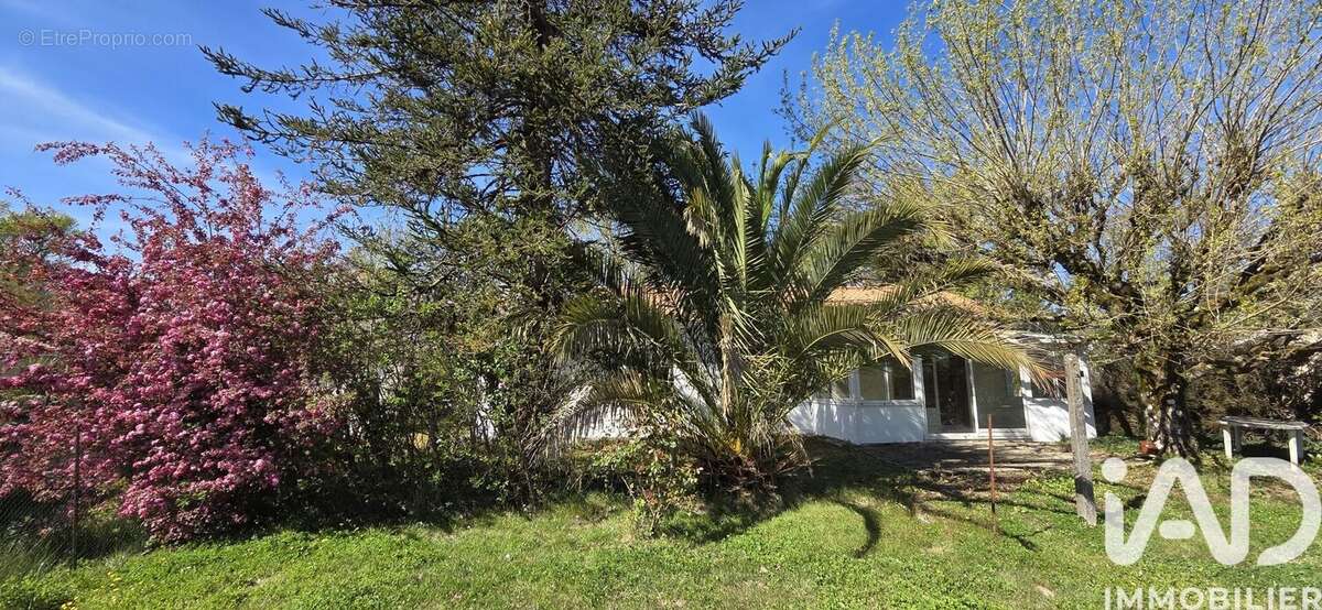 Photo 2 - Maison à MARGAUX