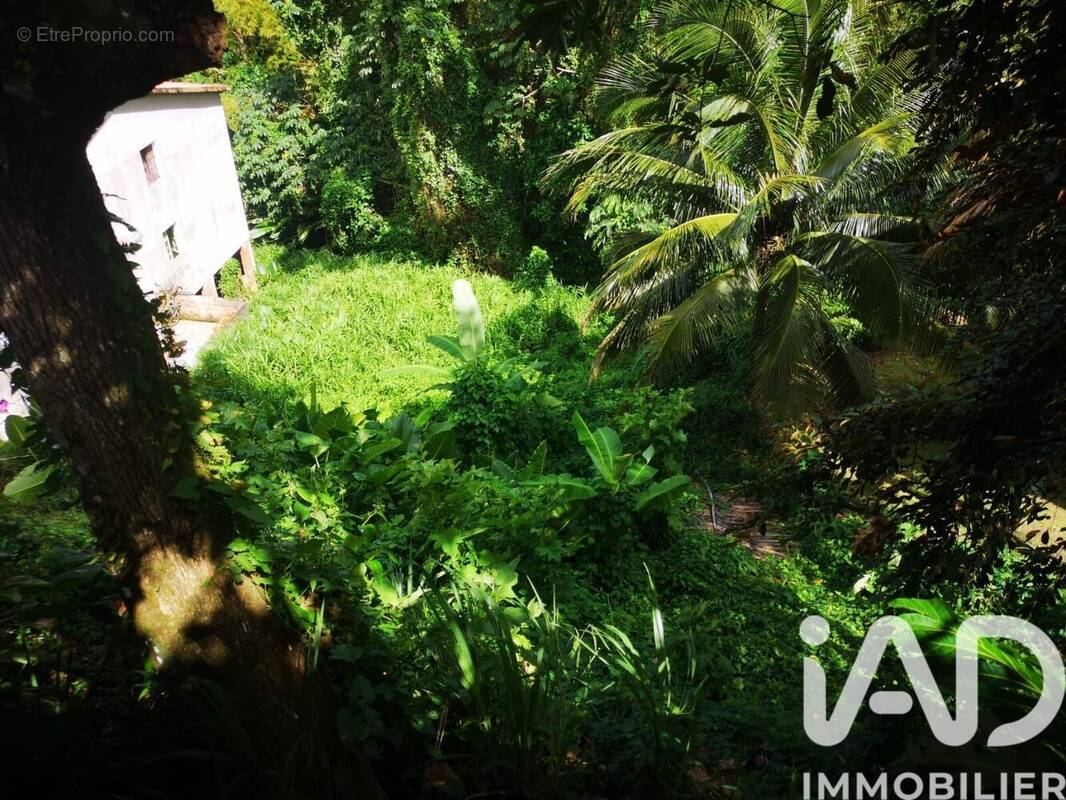 Photo 1 - Terrain à FORT-DE-FRANCE