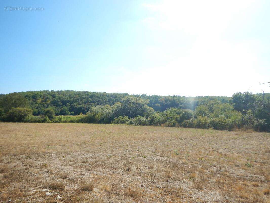 Terrain de loisir de 3 060 m² sur la commune de Cubjac-Auvezère-Val d'Ans (24) - photo 6