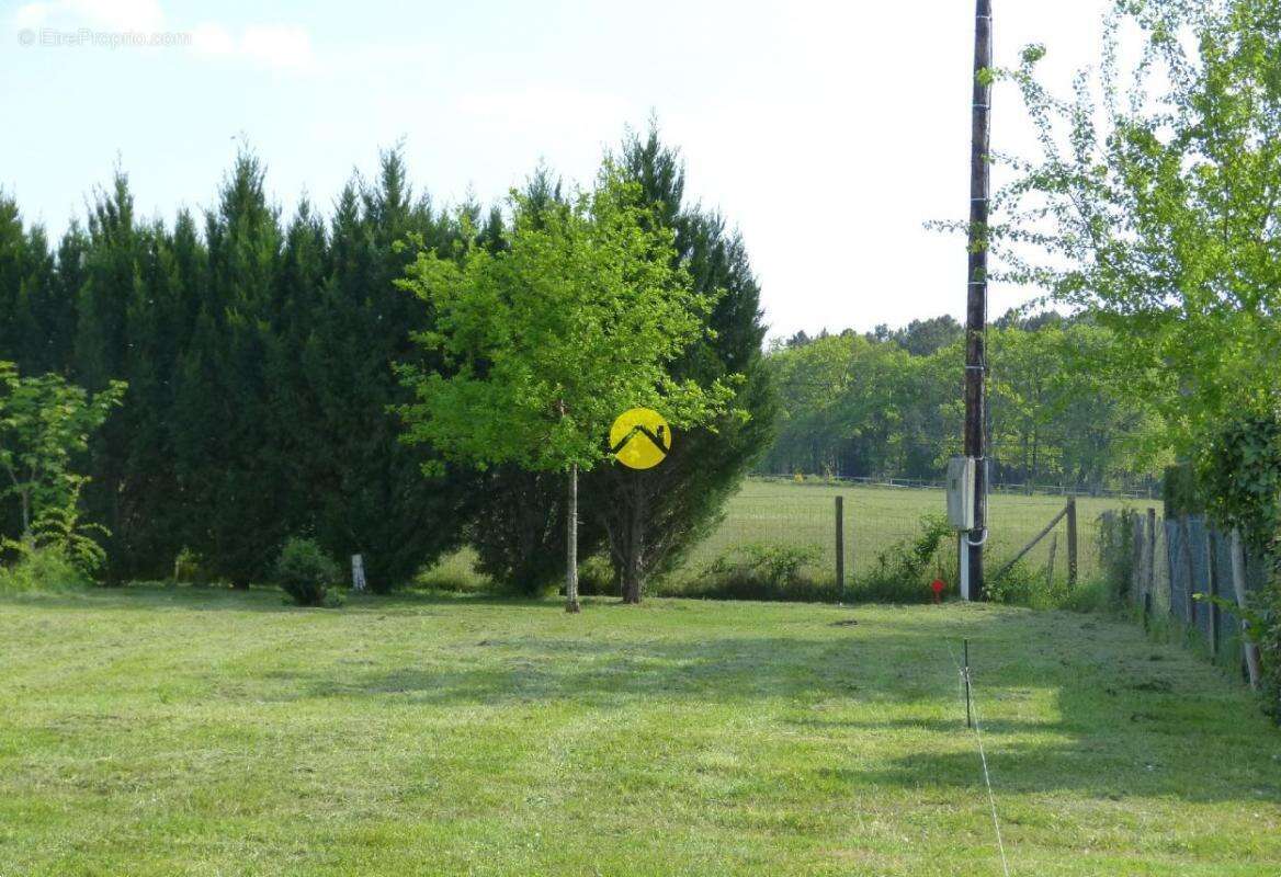 Un terrain a la campagne - photo 3