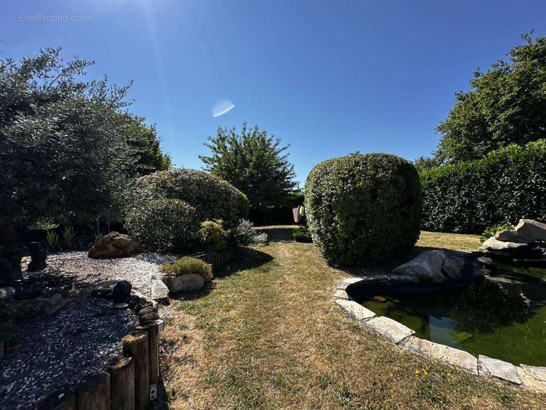Maison 170 m² à Serazereux  - photo 6