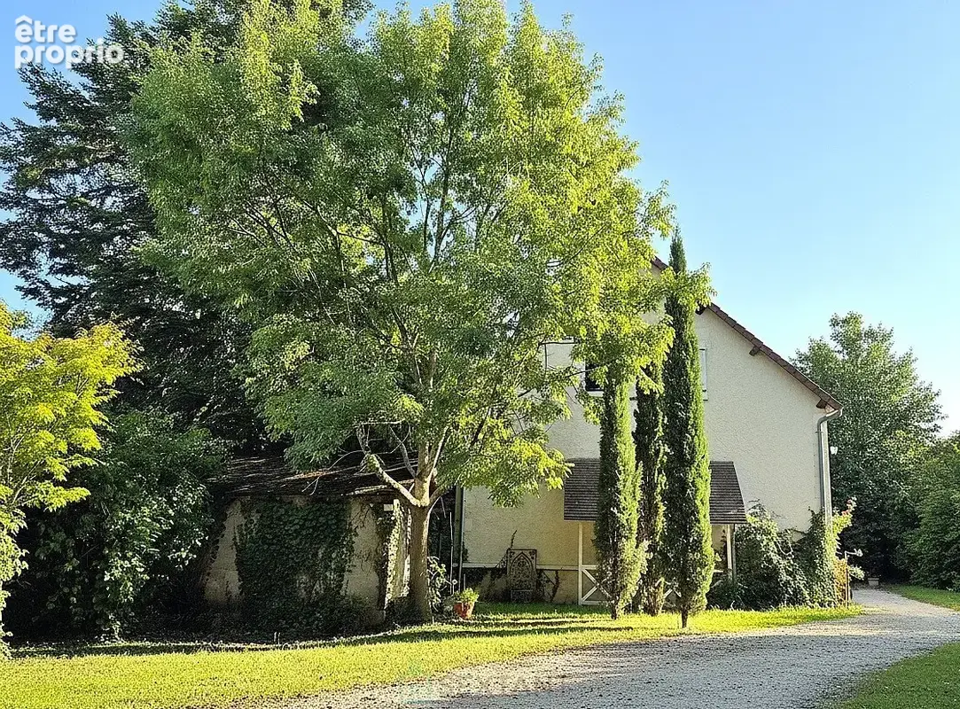 Propriété maison et gite - centre ville - photo 17