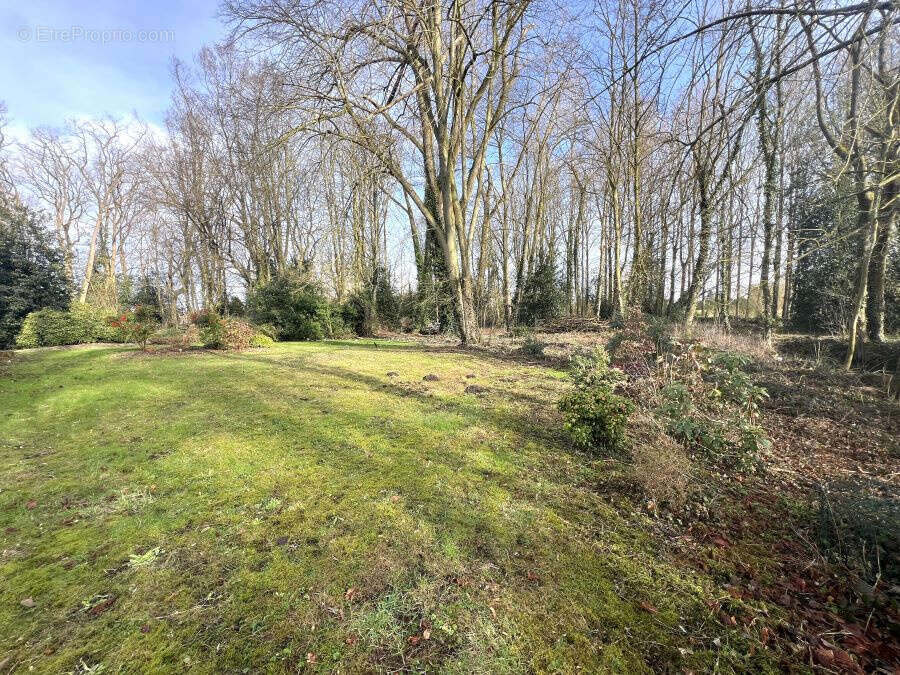 Maison à SAINT-AMAND-LES-EAUX