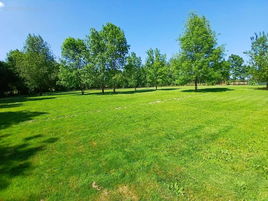 Maison à SAINTE-SEVERE