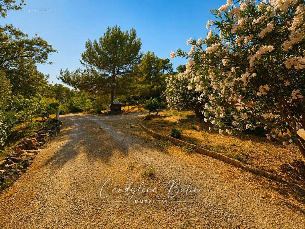 Villa T4 de plain-pied au coeur de la nature - photo 4